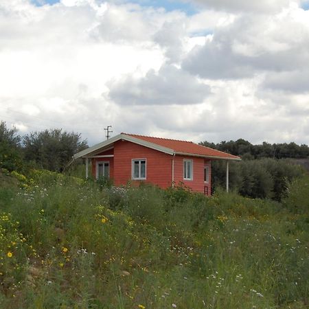 Ferienwohnung Mandorleo Belpasso Exterior foto