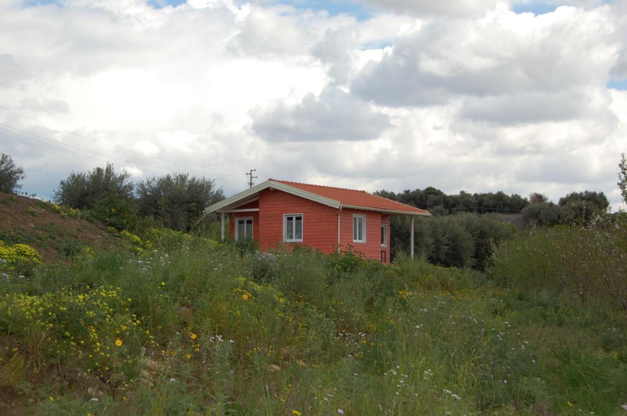 Ferienwohnung Mandorleo Belpasso Exterior foto