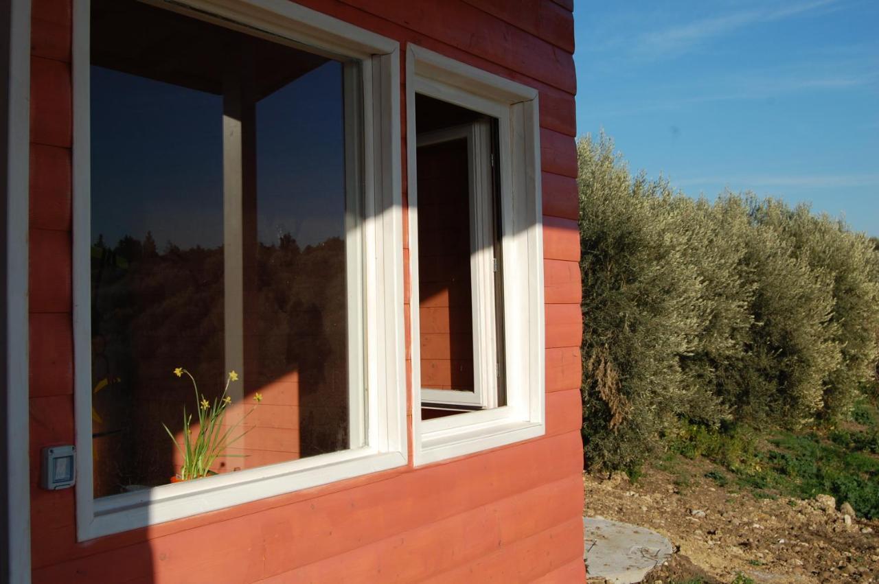 Ferienwohnung Mandorleo Belpasso Exterior foto